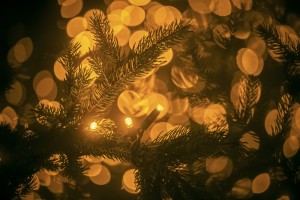 お気に入り商品のご紹介