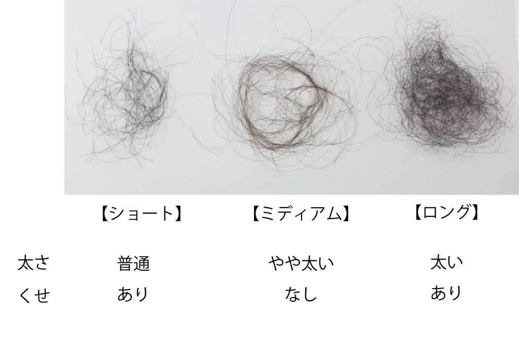 髪質ごとの抜け毛100本の画像
