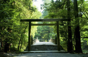 守り、浄め、本当のわたしへと目覚めていく。“常若”に学ぶ 、わたしたちの Holistic Care(3)