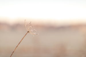 秋のスキンケア特集～「肌の違和感」の原因と、おすすめの整え方～