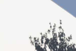 うっかり浴びた紫外線もなかったことに。漢方の力で美白ケア